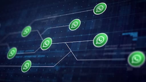 The Role of Bulk WhatsApp Message Sender Software in E-commerce The Role of Bulk WhatsApp Message Sender Software in E-commerce