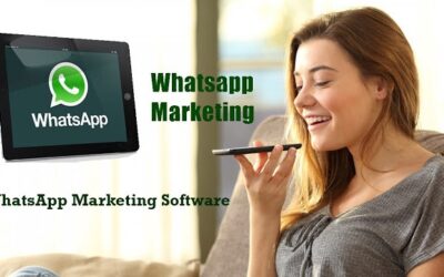 Why Should You Switch To Whatsapp Marketing Software?