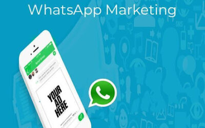 The Predominant Advantages Of Bulk Whatsapp Marketing For Your Compan